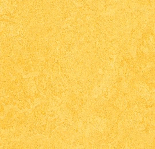 LoveLifeEnergize-Marmoleum-Forbo - Afbeelding 2